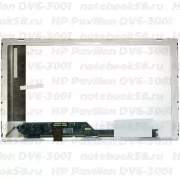 Матрица для ноутбука HP Pavilion DV6-3001 (1366x768 HD) TN, 40pin, Глянцевая