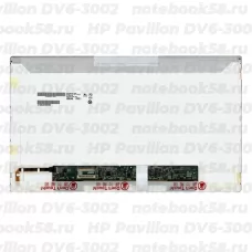 Матрица для ноутбука HP Pavilion DV6-3002 (1366x768 HD) TN, 40pin, Глянцевая