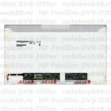 Матрица для ноутбука HP Pavilion DV6-3151er (1366x768 HD) TN, 40pin, Глянцевая