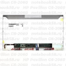 Матрица для ноутбука HP Pavilion G6-2060 (1366x768 HD) TN, 40pin, Матовая