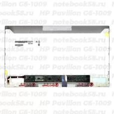 Матрица для ноутбука HP Pavilion G6-1009 (1366x768 HD) TN, 40pin, Матовая