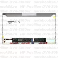 Матрица для ноутбука HP Pavilion DV6-3010er (1366x768 HD) TN, 40pin, Матовая