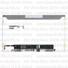 Матрица для ноутбука HP Pavilion DV6-3004 (1366x768 HD) TN, 40pin, Глянцевая