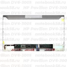 Матрица для ноутбука HP Pavilion DV6-3005 (1366x768 HD) TN, 40pin, Матовая