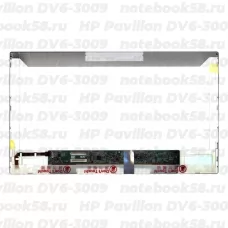 Матрица для ноутбука HP Pavilion DV6-3009 (1366x768 HD) TN, 40pin, Матовая