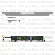 Матрица для ноутбука HP Pavilion DV6-3001 (1366x768 HD) TN, 40pin, Матовая