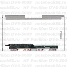 Матрица для ноутбука HP Pavilion DV6-3009 (1366x768 HD) TN, 40pin, Глянцевая