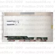 Матрица для ноутбука HP Pavilion DV6-3000 (1366x768 HD) TN, 40pin, Глянцевая