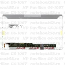 Матрица для ноутбука HP Pavilion G6-1067 (1366x768 HD) TN, 40pin, Матовая