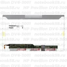 Матрица для ноутбука HP Pavilion DV6-3001 (1366x768 HD) TN, 40pin, Матовая