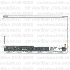 Матрица для ноутбука HP Pavilion DV6-3009 (1366x768 HD) TN, 40pin, Глянцевая