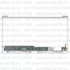 Матрица для ноутбука HP Pavilion DV6-3001 (1366x768 HD) TN, 40pin, Глянцевая