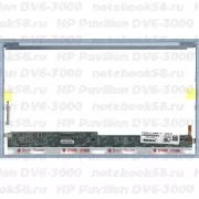 Матрица для ноутбука HP Pavilion DV6-3000 (1366x768 HD) TN, 40pin, Глянцевая