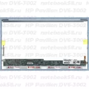 Матрица для ноутбука HP Pavilion DV6-3002 (1366x768 HD) TN, 40pin, Глянцевая