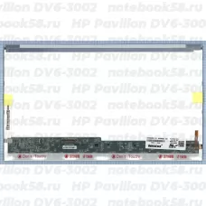 Матрица для ноутбука HP Pavilion DV6-3002 (1366x768 HD) TN, 40pin, Глянцевая