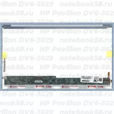 Матрица для ноутбука HP Pavilion DV6-3029 (1366x768 HD) TN, 40pin, Глянцевая