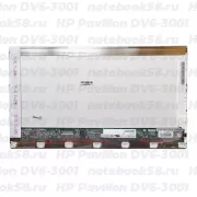 Матрица для ноутбука HP Pavilion DV6-3001 (1366x768 HD) TN, 40pin, Глянцевая