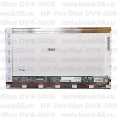 Матрица для ноутбука HP Pavilion DV6-3005 (1366x768 HD) TN, 40pin, Глянцевая