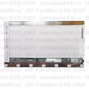 Матрица для ноутбука HP Pavilion DV6-3001 (1366x768 HD) TN, 40pin, Глянцевая