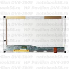 Матрица для ноутбука HP Pavilion DV6-3009 (1366x768 HD) TN, 40pin, Глянцевая
