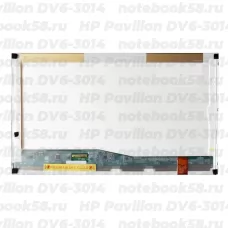 Матрица для ноутбука HP Pavilion DV6-3014 (1366x768 HD) TN, 40pin, Глянцевая