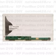 Матрица для ноутбука HP Pavilion DV6-3001 (1366x768 HD) TN, 40pin, Матовая