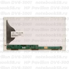 Матрица для ноутбука HP Pavilion DV6-3001 (1366x768 HD) TN, 40pin, Матовая