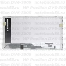 Матрица для ноутбука HP Pavilion DV6-3005 (1366x768 HD) TN, 40pin, Глянцевая