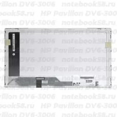 Матрица для ноутбука HP Pavilion DV6-3006 (1366x768 HD) TN, 40pin, Глянцевая