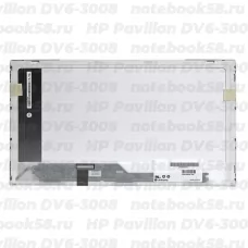 Матрица для ноутбука HP Pavilion DV6-3008 (1366x768 HD) TN, 40pin, Глянцевая