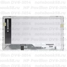 Матрица для ноутбука HP Pavilion DV6-3014 (1366x768 HD) TN, 40pin, Глянцевая