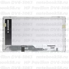 Матрица для ноутбука HP Pavilion DV6-3063 (1366x768 HD) TN, 40pin, Глянцевая