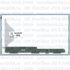 Матрица для ноутбука HP Pavilion DV6-3009 (1366x768 HD) TN, 40pin, Матовая