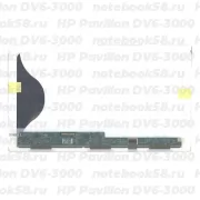 Матрица для ноутбука HP Pavilion DV6-3000 (1366x768 HD) TN, 40pin, Матовая