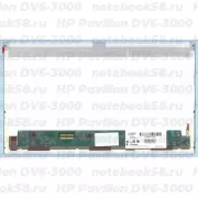 Матрица для ноутбука HP Pavilion DV6-3000 (1366x768 HD) TN, 40pin, Матовая