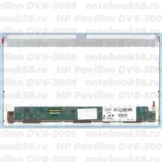 Матрица для ноутбука HP Pavilion DV6-3009 (1366x768 HD) TN, 40pin, Матовая