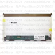 Матрица для ноутбука HP Pavilion DV6-3001 (1366x768 HD) TN, 40pin, Матовая