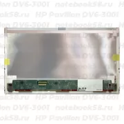 Матрица для ноутбука HP Pavilion DV6-3001 (1366x768 HD) TN, 40pin, Матовая