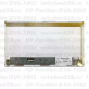 Матрица для ноутбука HP Pavilion DV6-3002 (1366x768 HD) TN, 40pin, Глянцевая