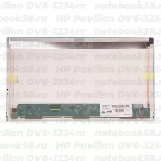 Матрица для ноутбука HP Pavilion DV6-3234nr (1366x768 HD) TN, 40pin, Матовая