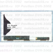 Матрица для ноутбука HP Pavilion DV6-3002 (1366x768 HD) TN, 40pin, Матовая