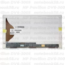 Матрица для ноутбука HP Pavilion DV6-3005 (1366x768 HD) TN, 40pin, Матовая