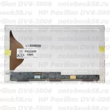 Матрица для ноутбука HP Pavilion DV6-3006 (1366x768 HD) TN, 40pin, Матовая