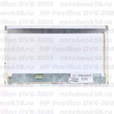 Матрица для ноутбука HP Pavilion DV6-3005 (1366x768 HD) TN, 40pin, Матовая