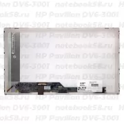 Матрица для ноутбука HP Pavilion DV6-3001 (1366x768 HD) TN, 40pin, Матовая