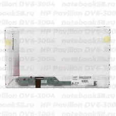 Матрица для ноутбука HP Pavilion DV6-3004 (1366x768 HD) TN, 40pin, Матовая