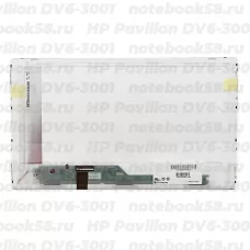 Матрица для ноутбука HP Pavilion DV6-3001 (1366x768 HD) TN, 40pin, Глянцевая