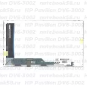 Матрица для ноутбука HP Pavilion DV6-3002 (1366x768 HD) TN, 40pin, Матовая