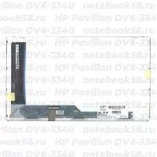 Матрица для ноутбука HP Pavilion DV6-3340 (1366x768 HD) TN, 40pin, Матовая