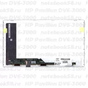 Матрица для ноутбука HP Pavilion DV6-3000 (1366x768 HD) TN, 40pin, Матовая